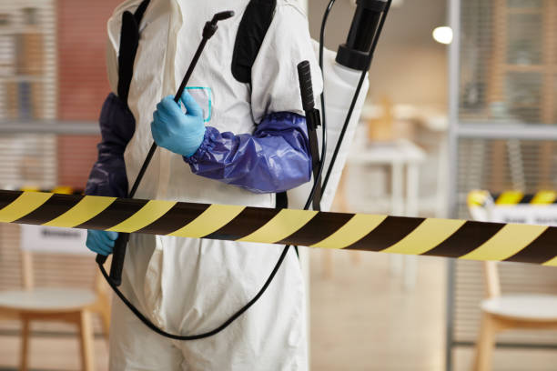 Professional Sewage Cleanup technician working in Brookhaven, NY